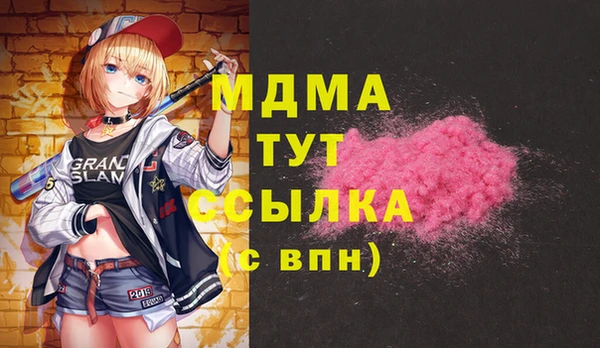 Альфа ПВП Инсар