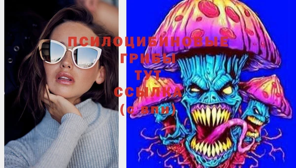 твердый Балахна