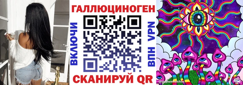 shop состав  Городище  Псилоцибиновые грибы Psilocybe 